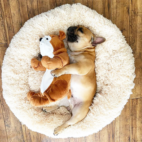 癒しのラグジュアリーベッド – Wholesome Pets Japan 癒しのラグジュアリーベッド – Wholesome Pets Japan