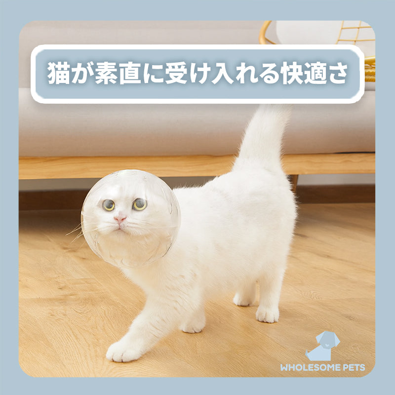 WPJP ニャンガード