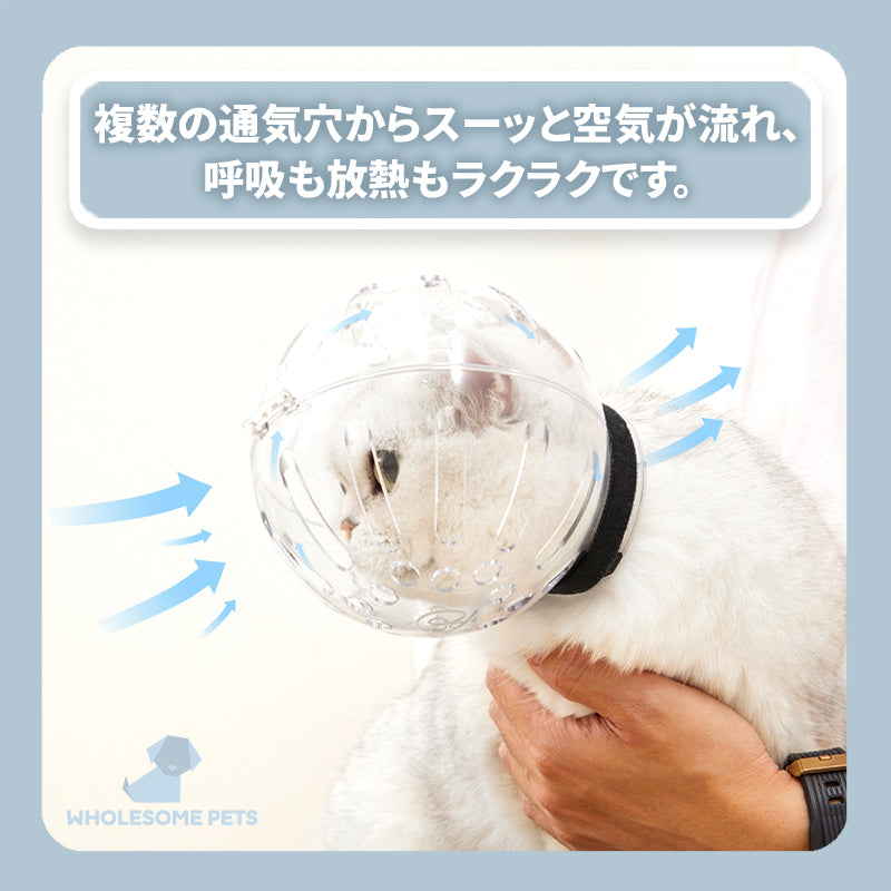 WPJP ニャンガード