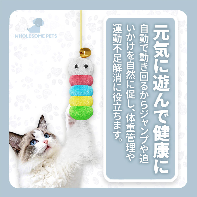 WPJP ニャンヨ