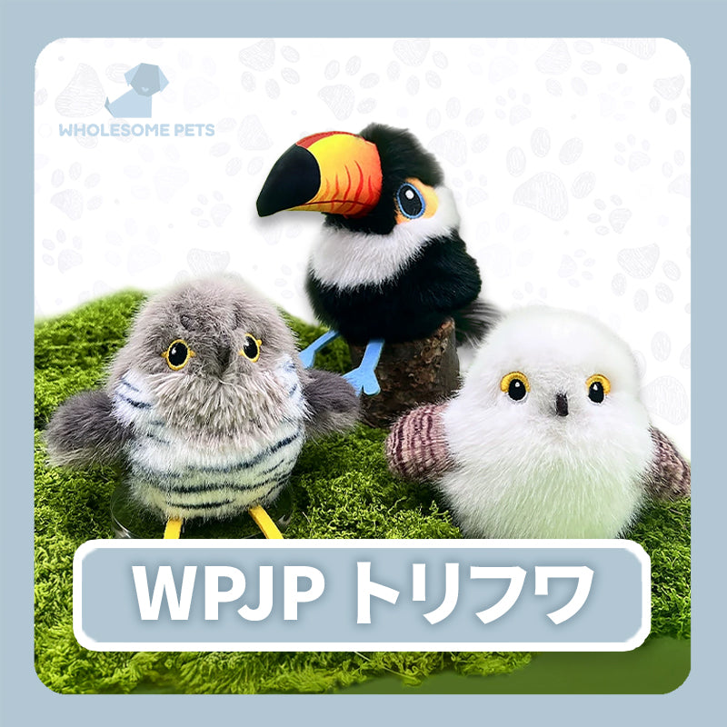 WPJP トリフワ