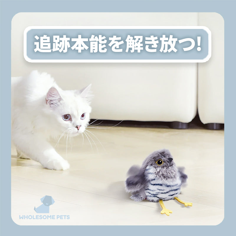 WPJP トリフワ