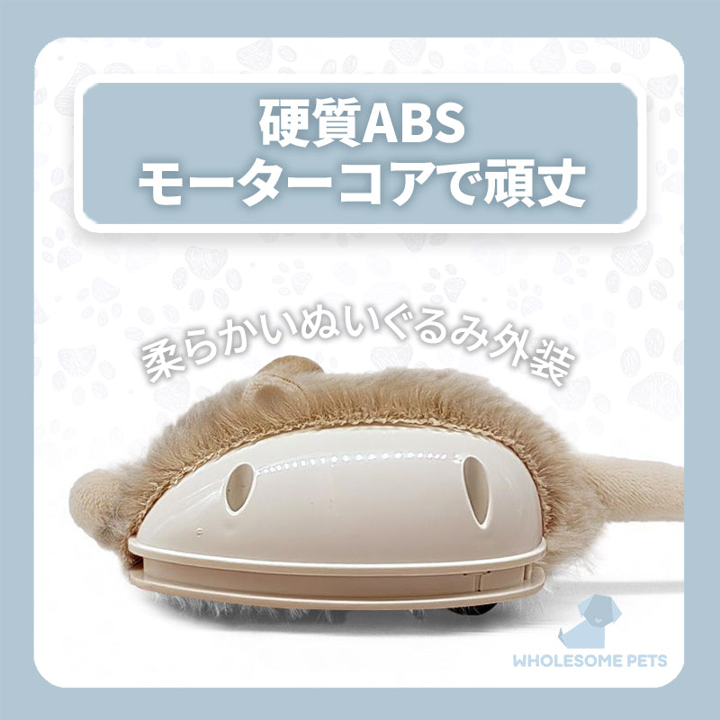 WPJP チュウラン