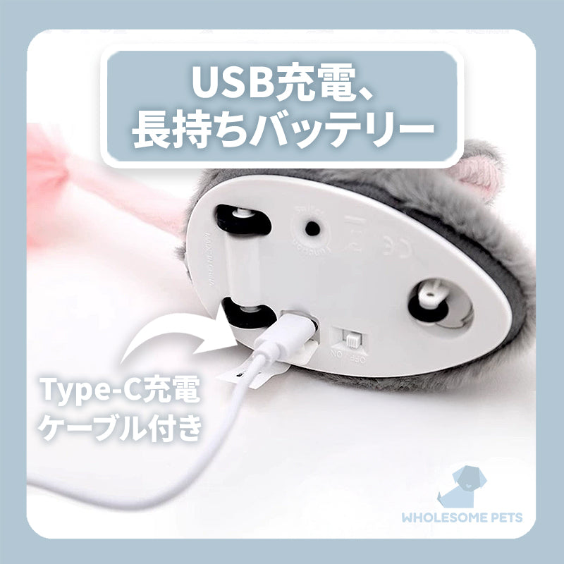 WPJP チュウラン