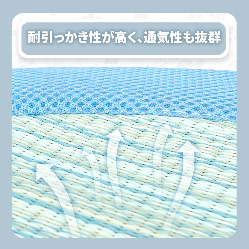 WPJP スカイラウンジ デュオ