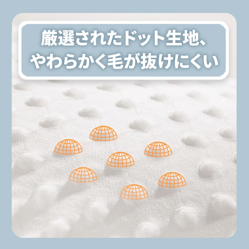 WPJP ネムトモ