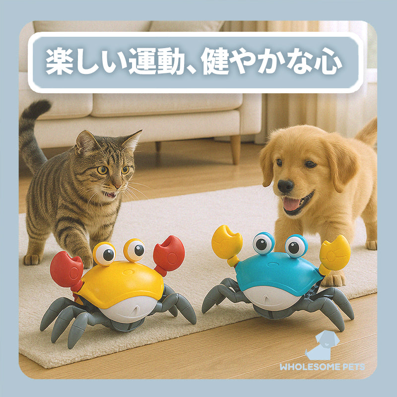 WPJP ニゲカニ