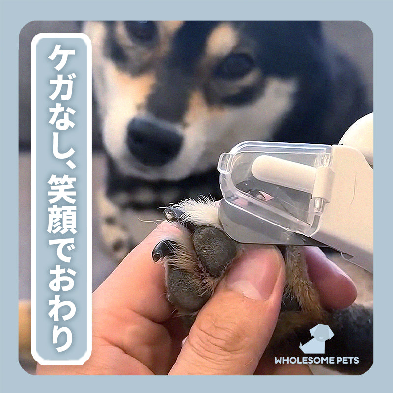 WPJP ルミトリム・デュオ