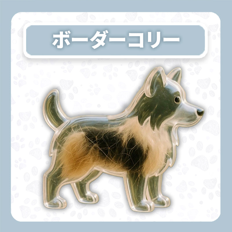 WPJP キモケ