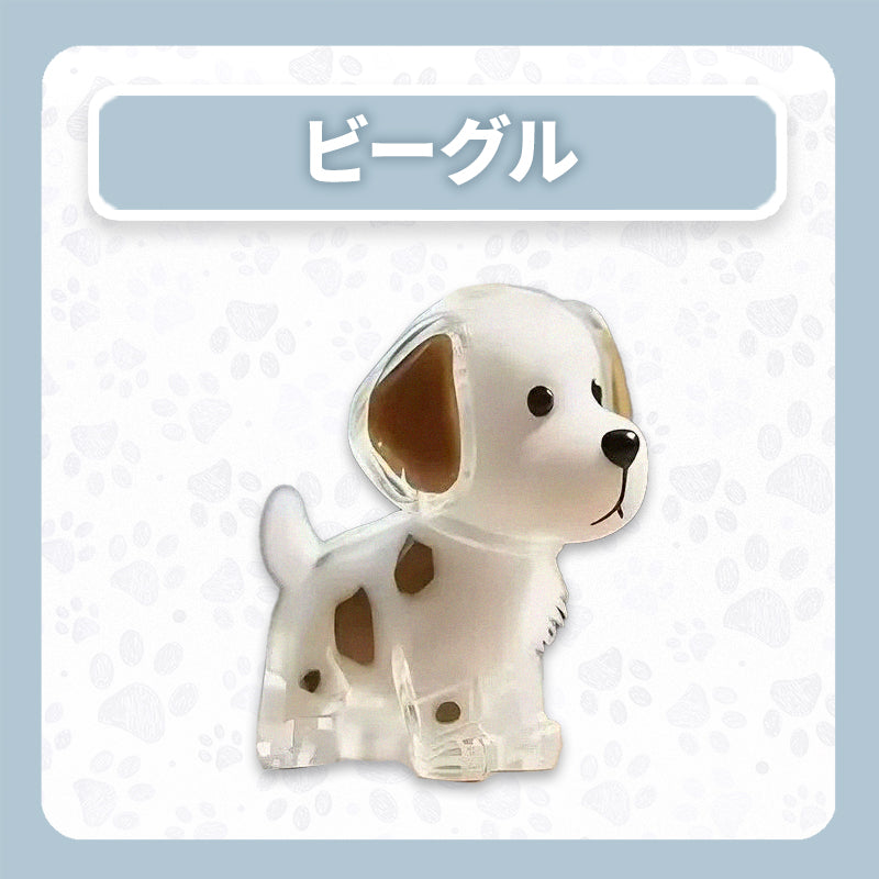 WPJP キモケ