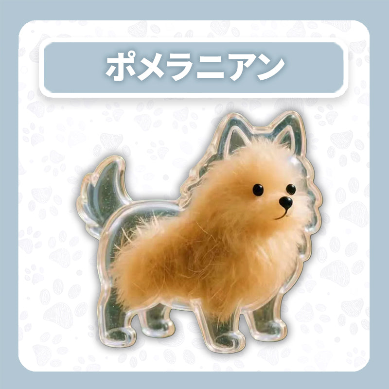 WPJP キモケ