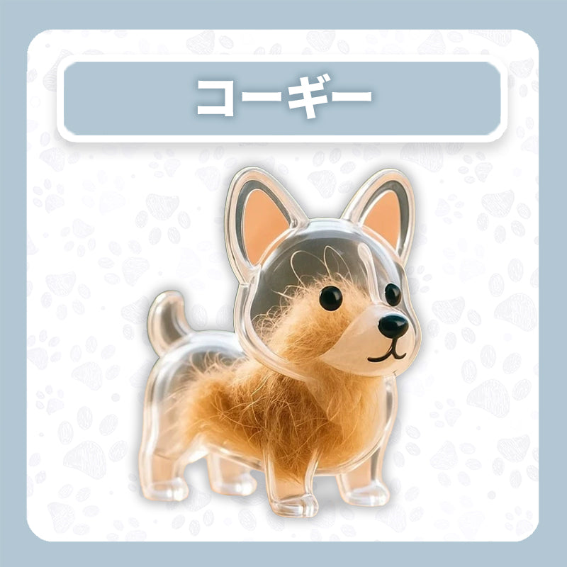 WPJP キモケ