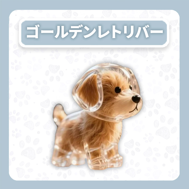 WPJP キモケ