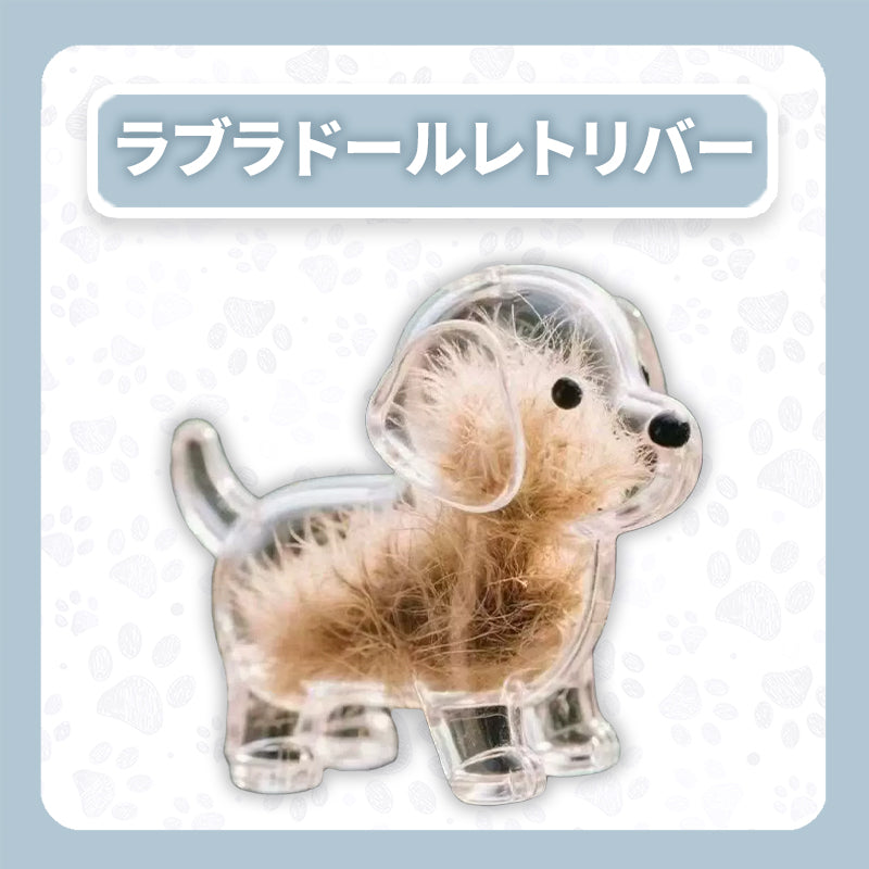 WPJP キモケ
