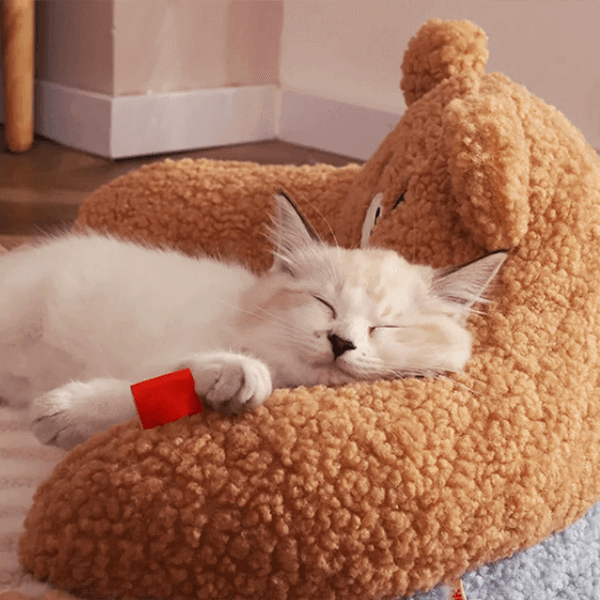 クマのふわふわベッド