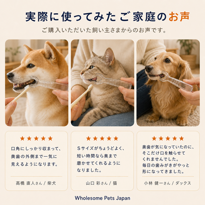 WPJP パカミガキ