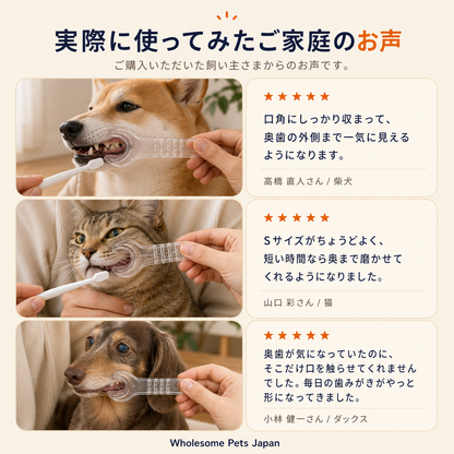 WPJP パカミガキ