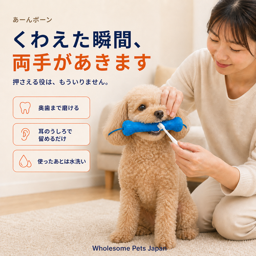 WPJP あーんボーン