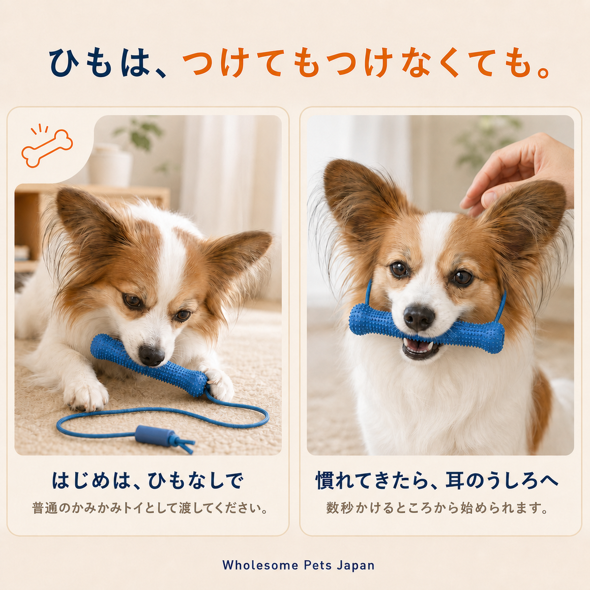 WPJP あーんボーン