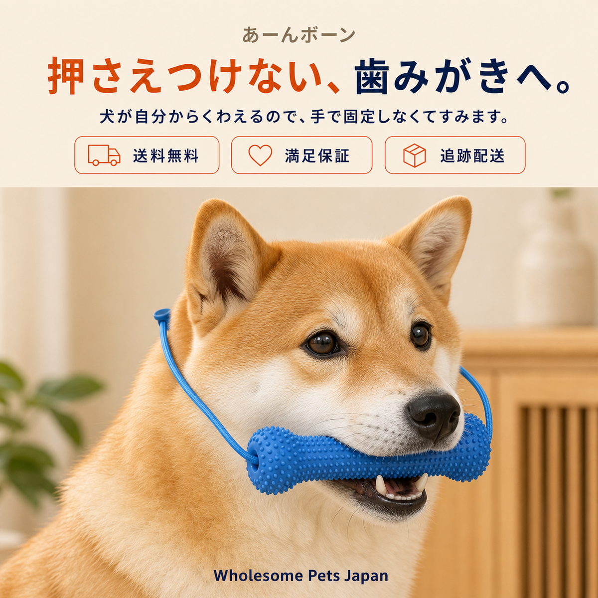 WPJP あーんボーン