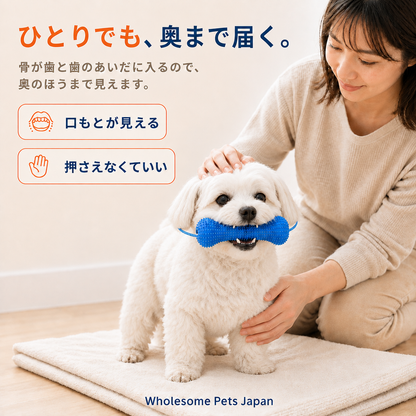 WPJP あーんボーン
