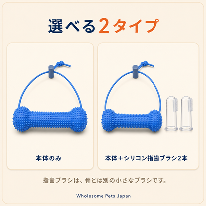 WPJP あーんボーン