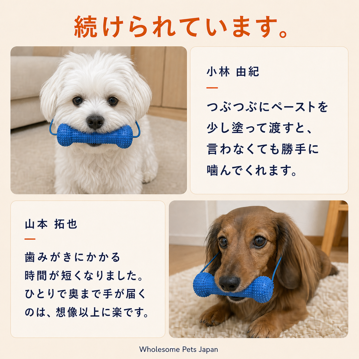 WPJP あーんボーン