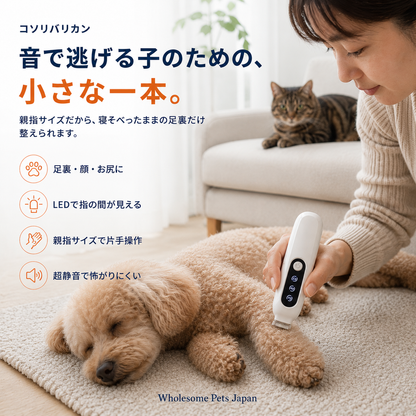 WPJP コソリバリカン