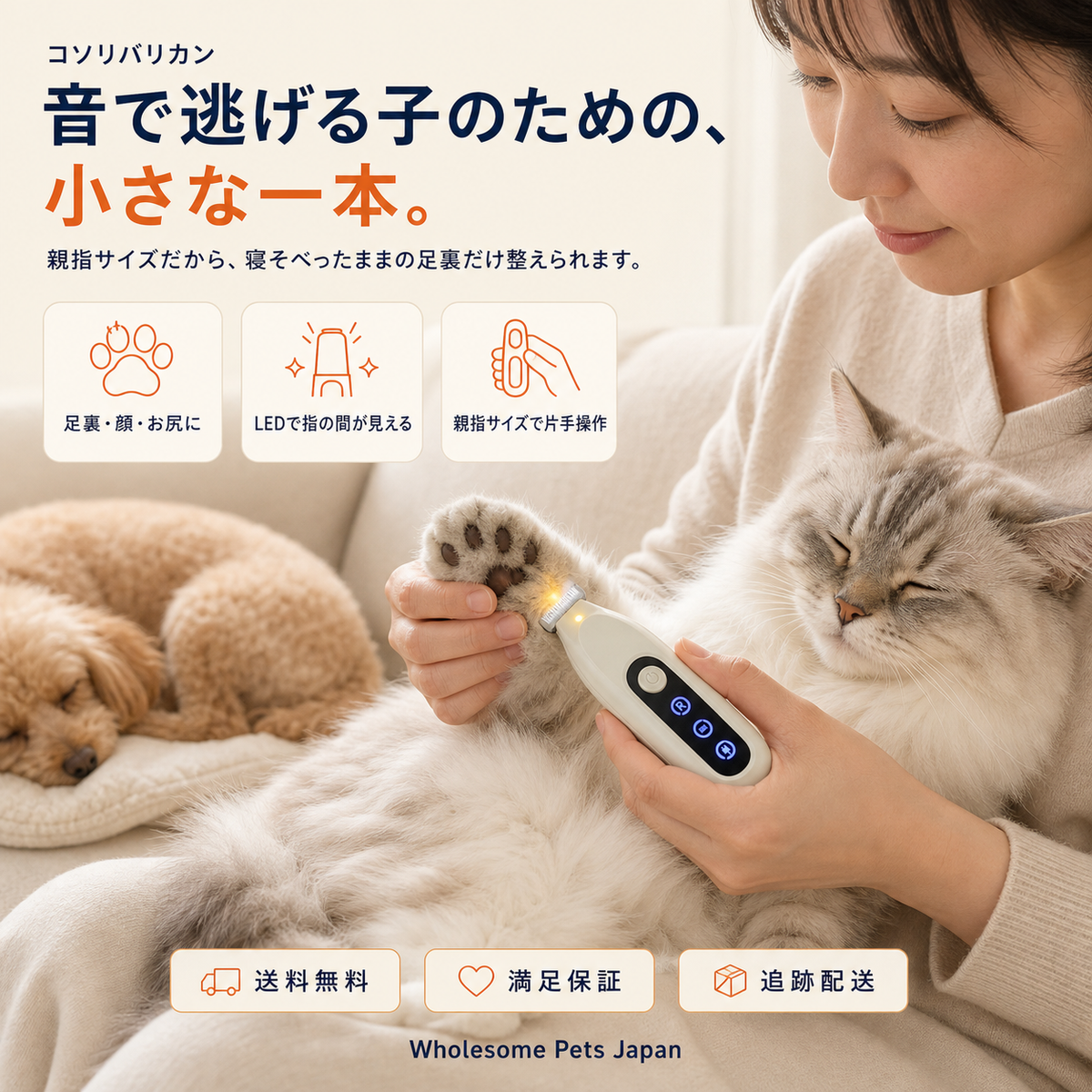 WPJP コソリバリカン