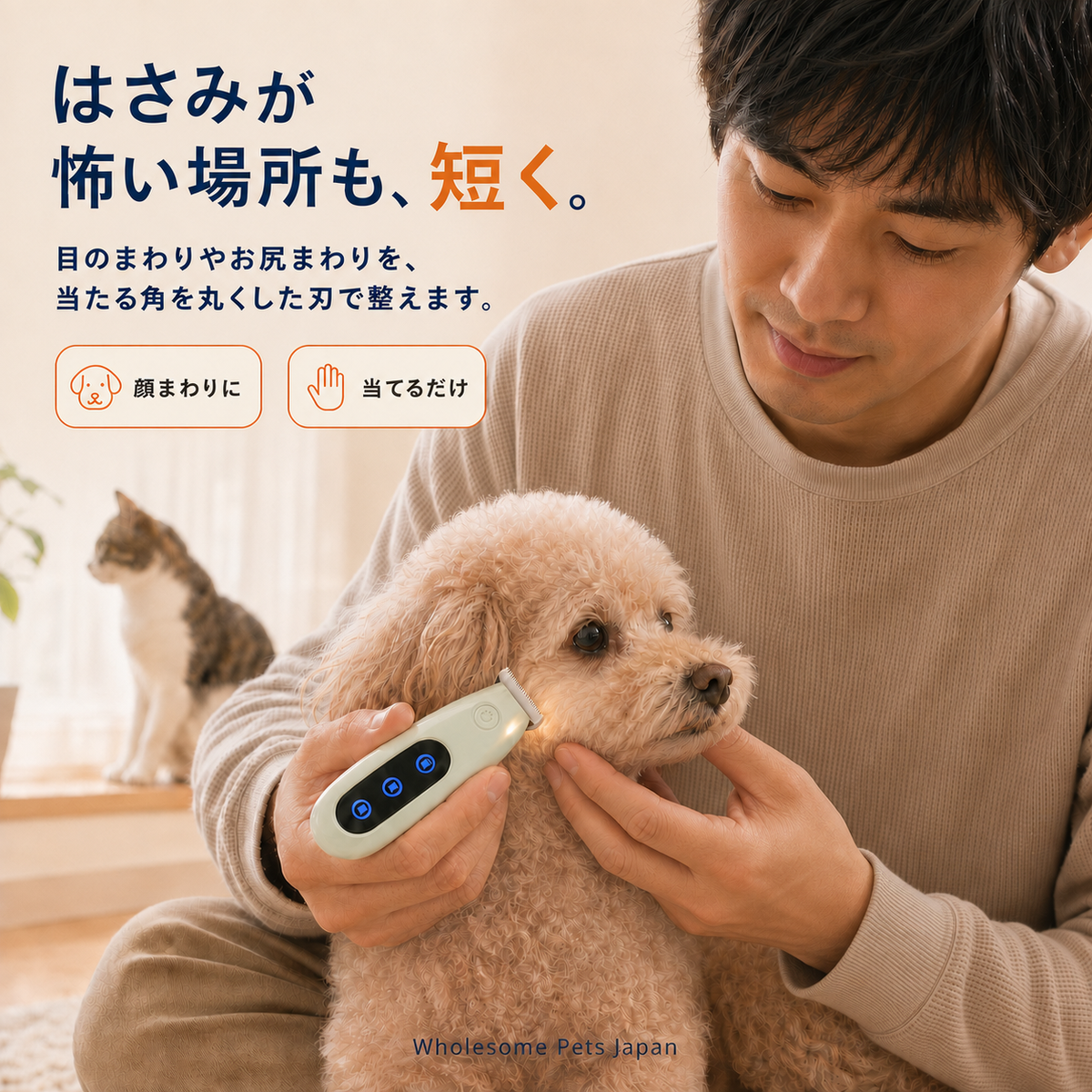 WPJP コソリバリカン
