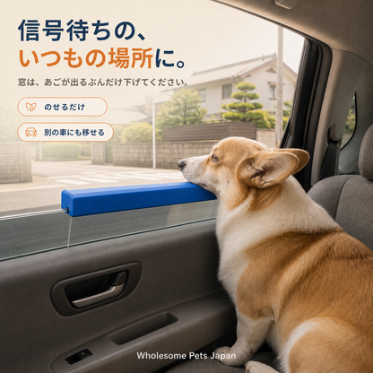 WPJP やわフチ