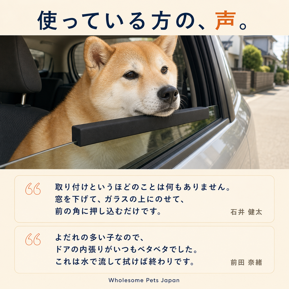 WPJP やわフチ