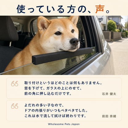 WPJP やわフチ