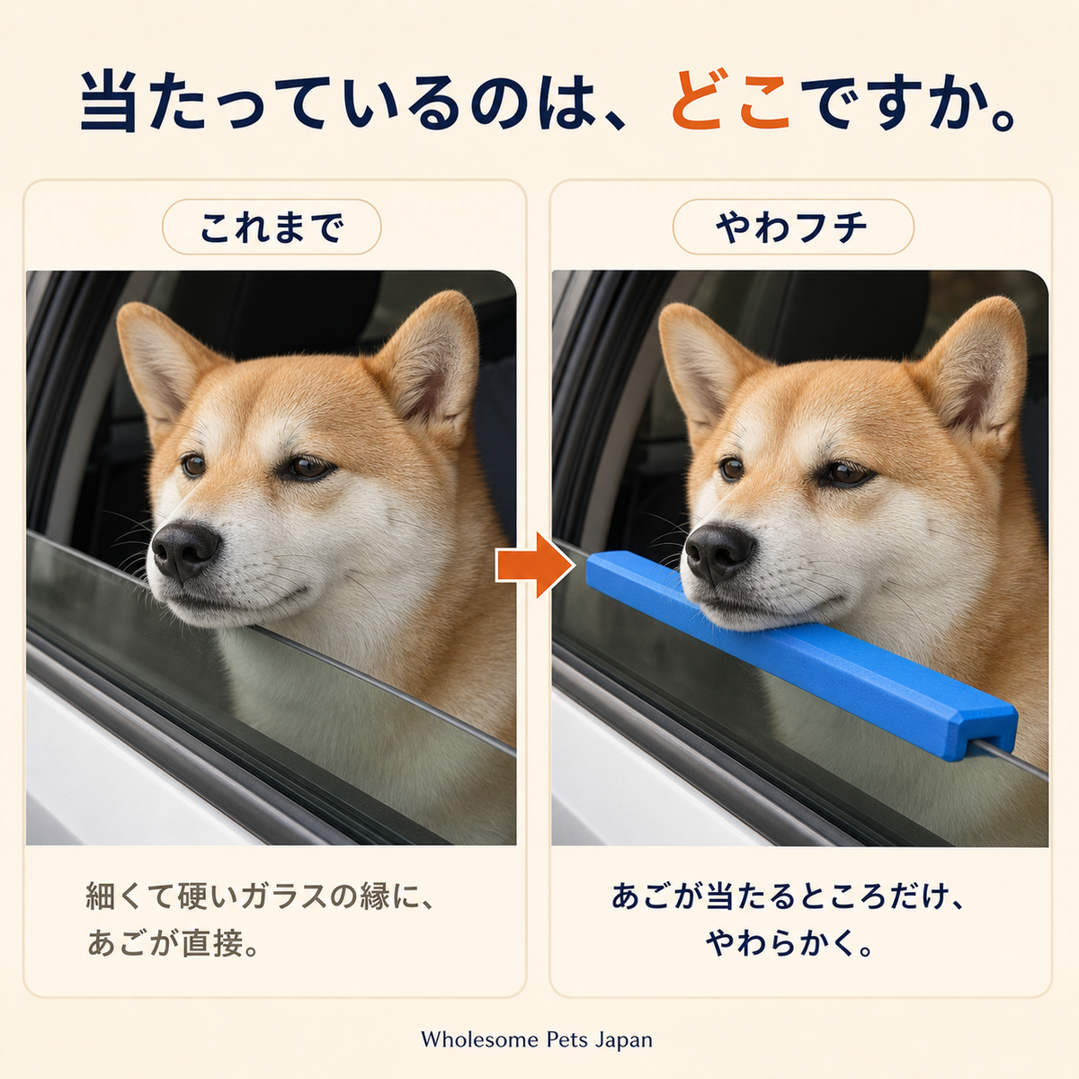 WPJP やわフチ