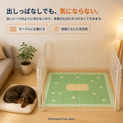 WPJP しばマル