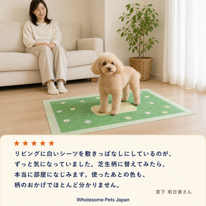 WPJP しばマル