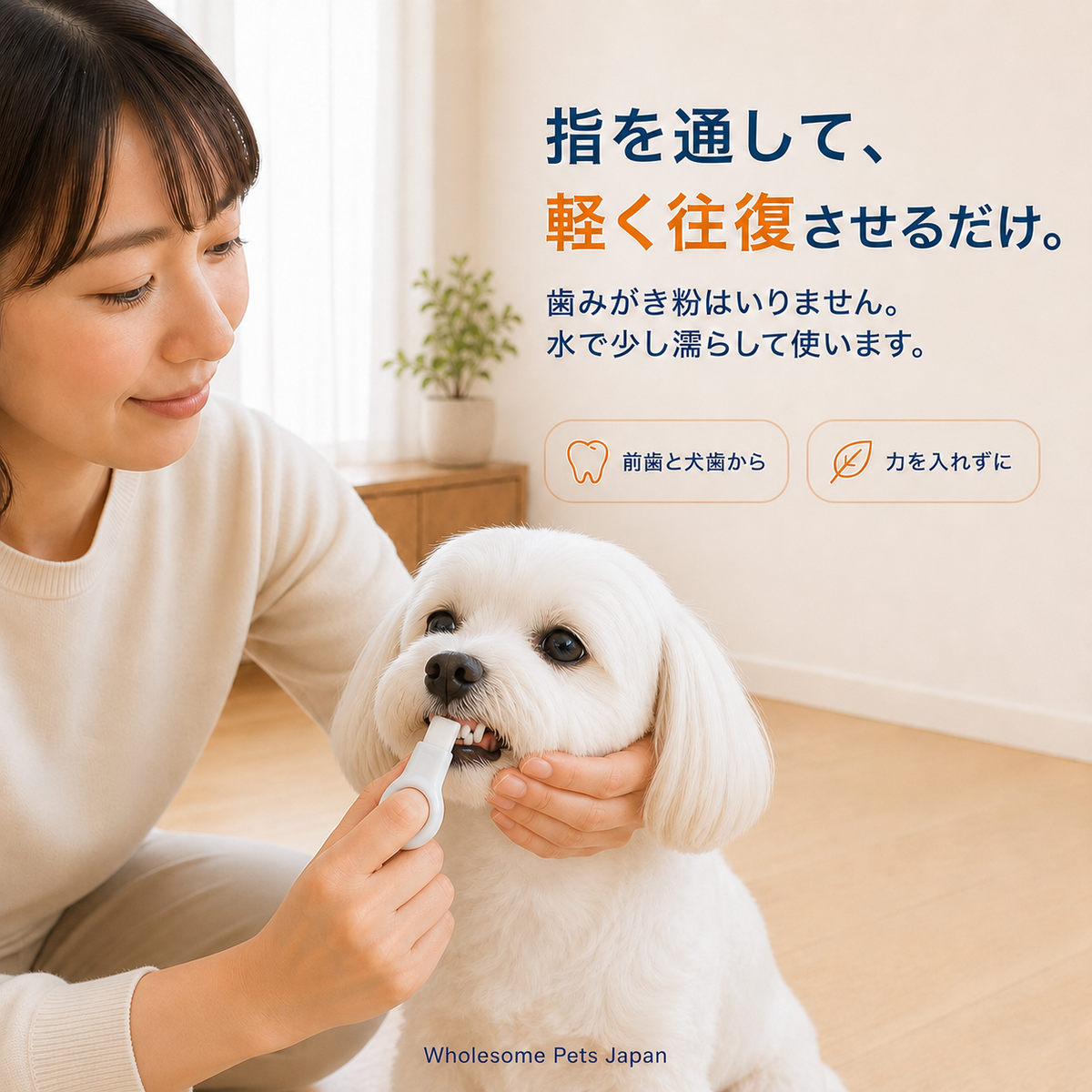 WPJP ふわケシ