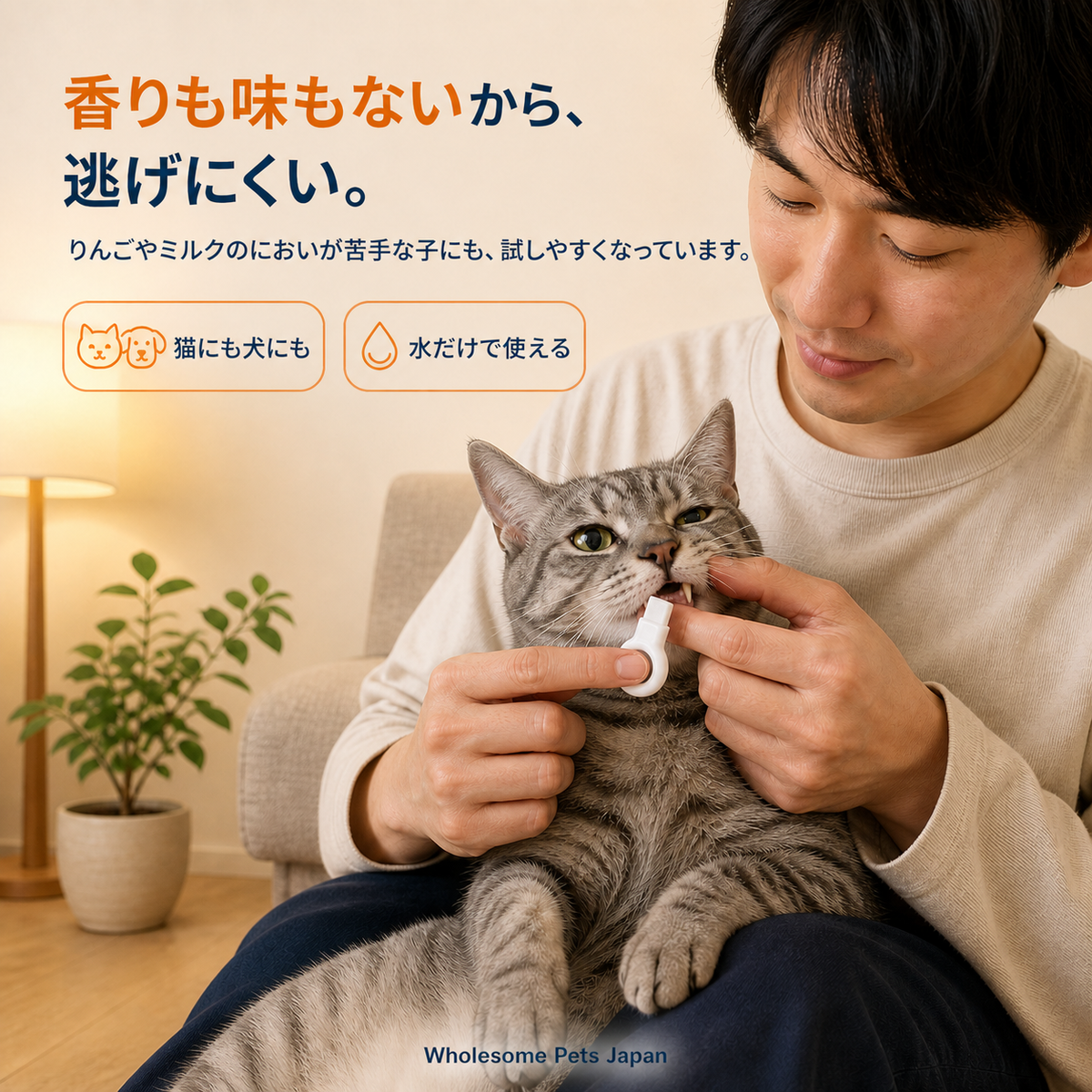 WPJP ふわケシ