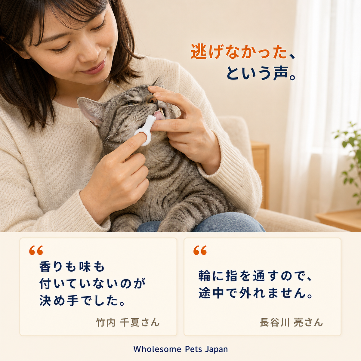WPJP ふわケシ