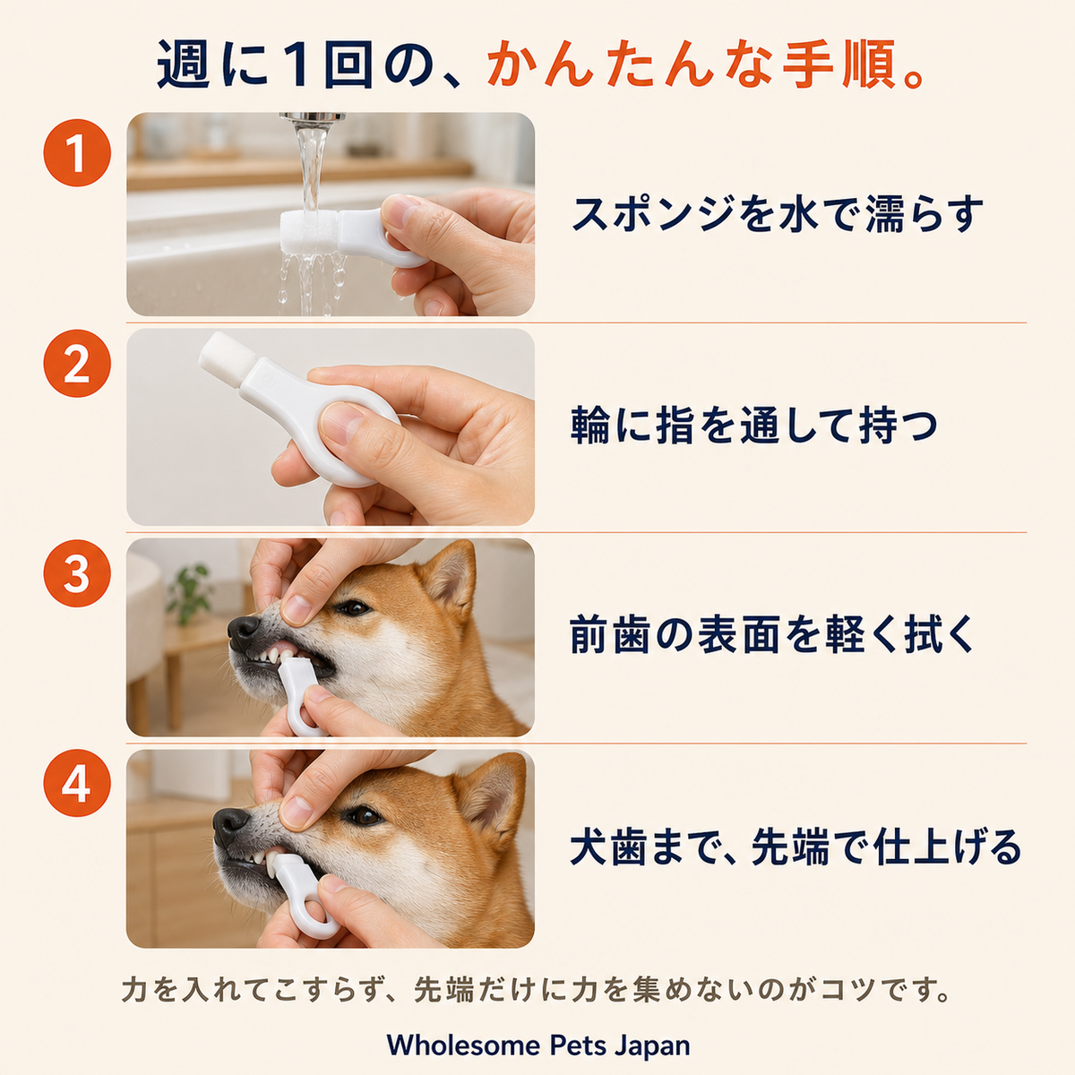 WPJP ふわケシ