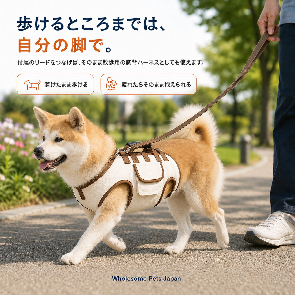 WPJP ヨコダッコ