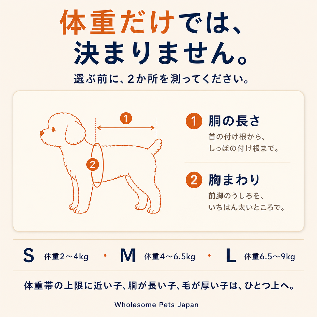 WPJP ヨコダッコ