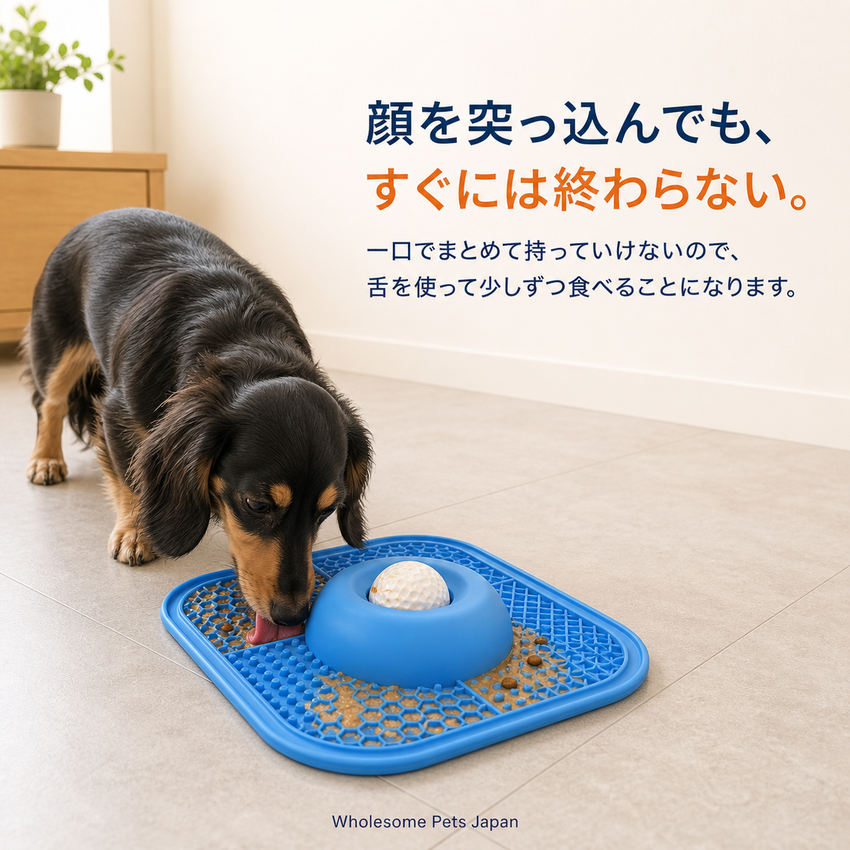 WPJP ぺろやま