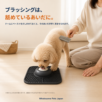 WPJP ぺろやま