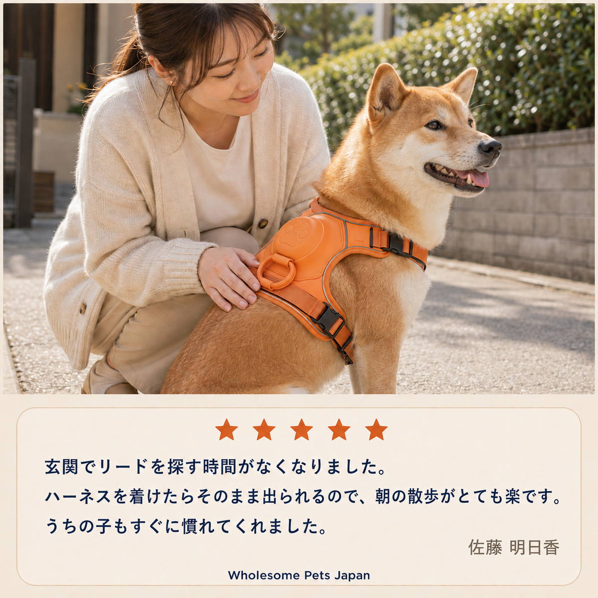 WPJP テブラサンポ 犬用ハーネス一体型リード