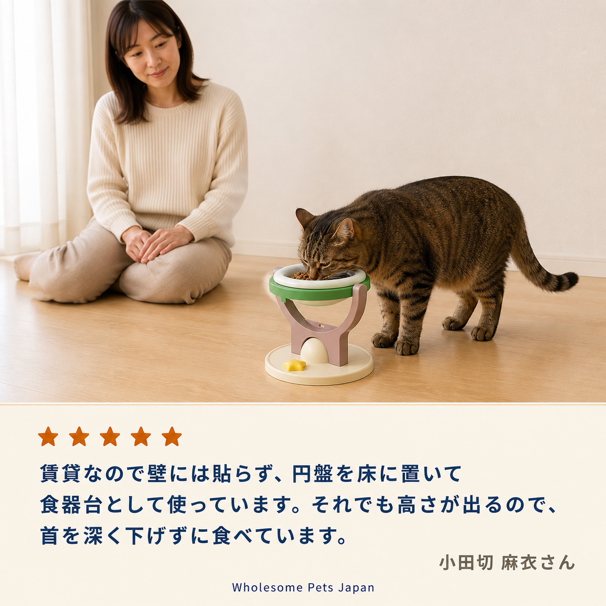 WPJP ホシノワ