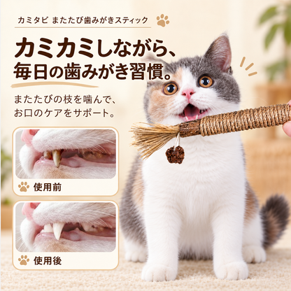 WPJP カミタビ またたび歯みがきスティック