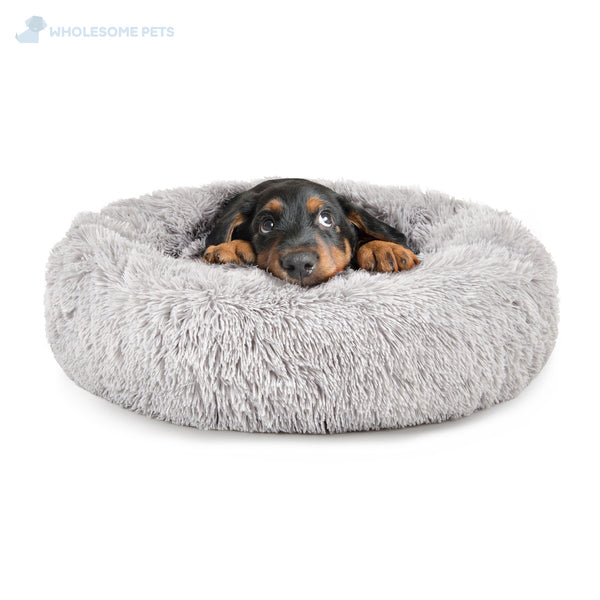 麻翔様♡ダックス 麻翔様♡ダックス