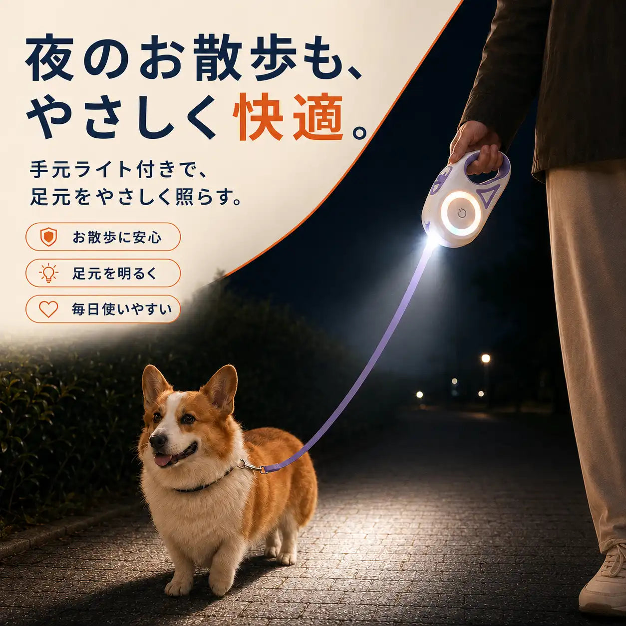 WPJP ヒカリード