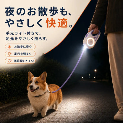 WPJP ヒカリード
